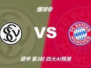 四大AI预测埃尔沃斯贝格vs拜仁:各家均看好客队大胜而归