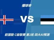 四大AI预测冰岛vs爱沙尼亚:四家都选主胜,净胜两球呼声较高