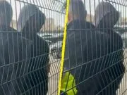 布罗亚在伯恩利输球后和球迷对喷：闭上你的臭嘴，放尊重点
