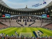 热心网友为热刺设计的TIFO