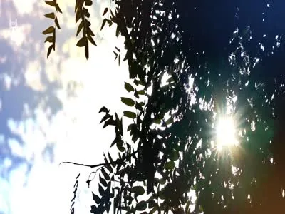 时光丨外面的世界外面的世界很精彩，可我们也知道，...