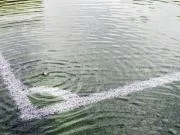 每体：西班牙多场比赛因暴雨雷暴延期