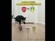 Dino预测阿森纳对阵利兹联的英超重头戏