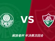 主客表现：帕尔梅拉斯主场连胜，弗鲁米嫩塞客场失球偏多