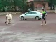 印度足球真是狂野啊