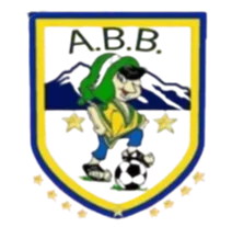 学术DB队徽