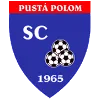 Pusta Polom队徽