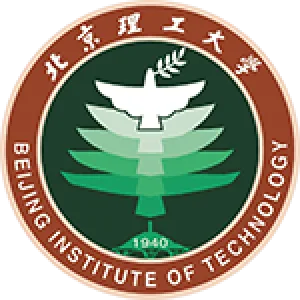 Beijing IT队徽