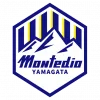 山形山神队徽