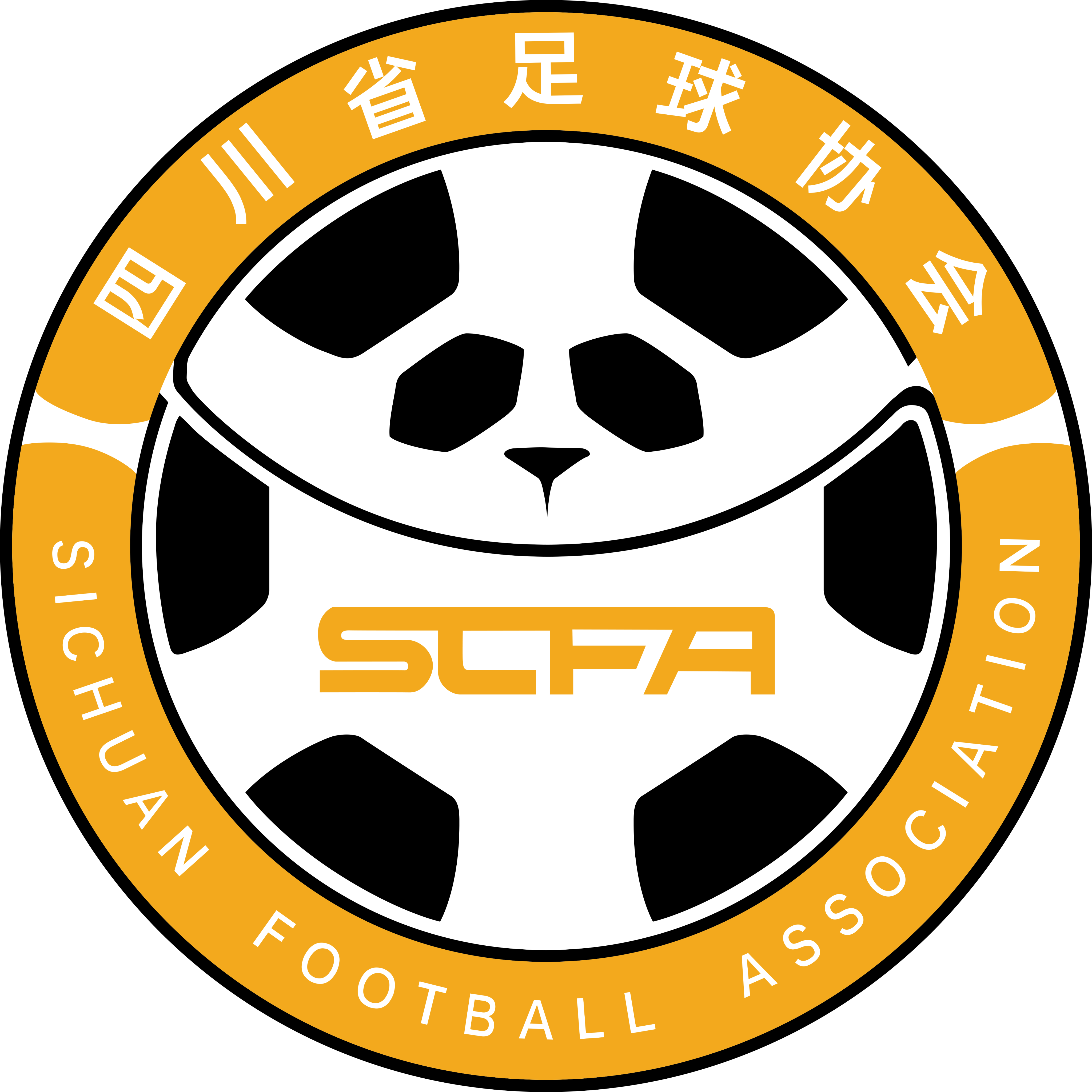 四川U20队徽