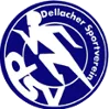 SV Dellach Gail队徽